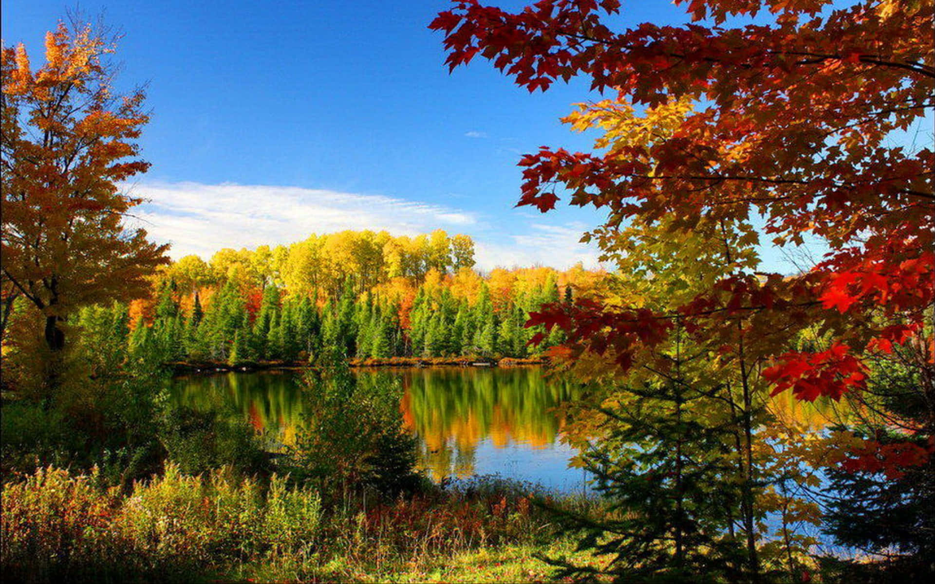 Placid Autumn Season Background