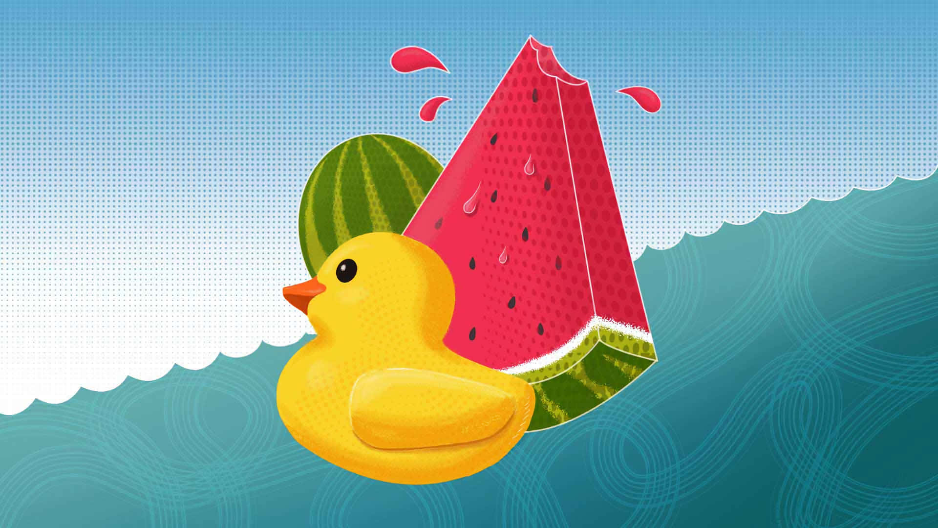 Placid Duck With Watermelons
