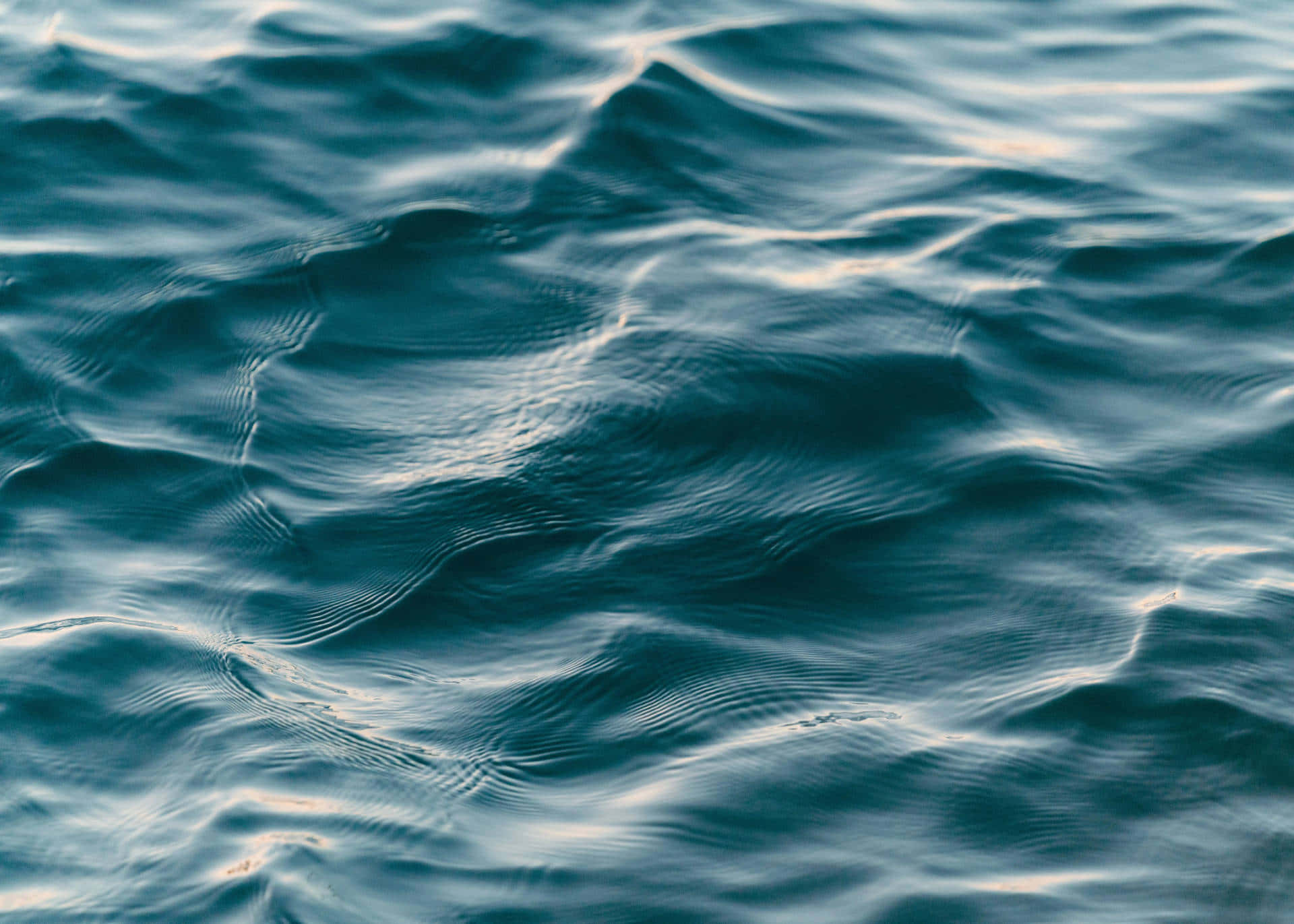 Placid Sea Background