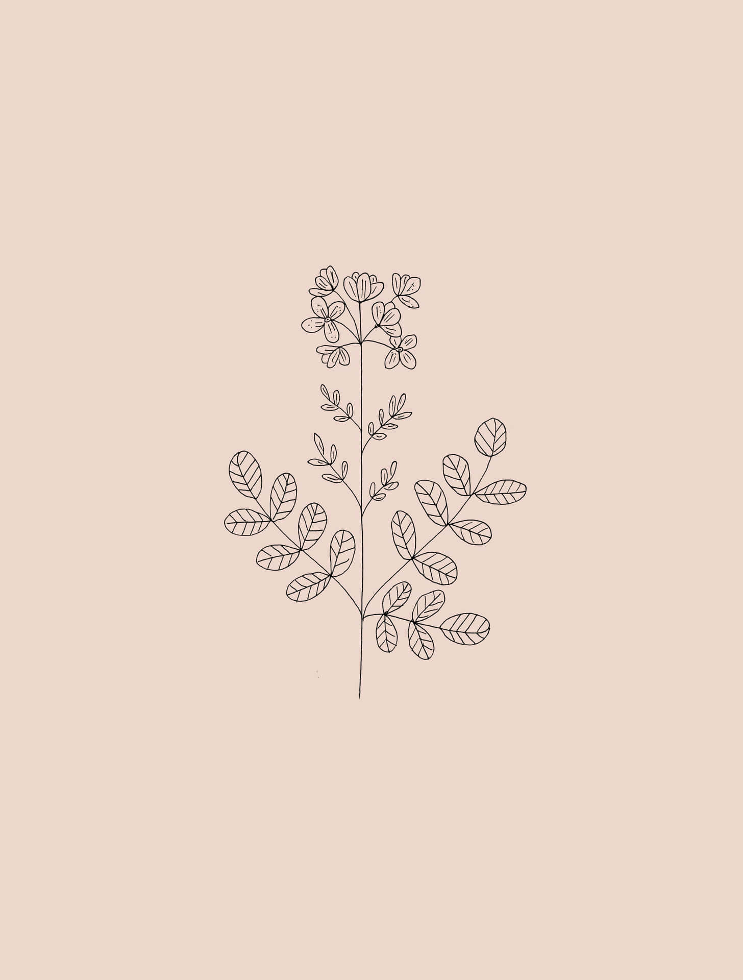 Placing The Finishing Touches On A Beautiful Flower Drawing Background