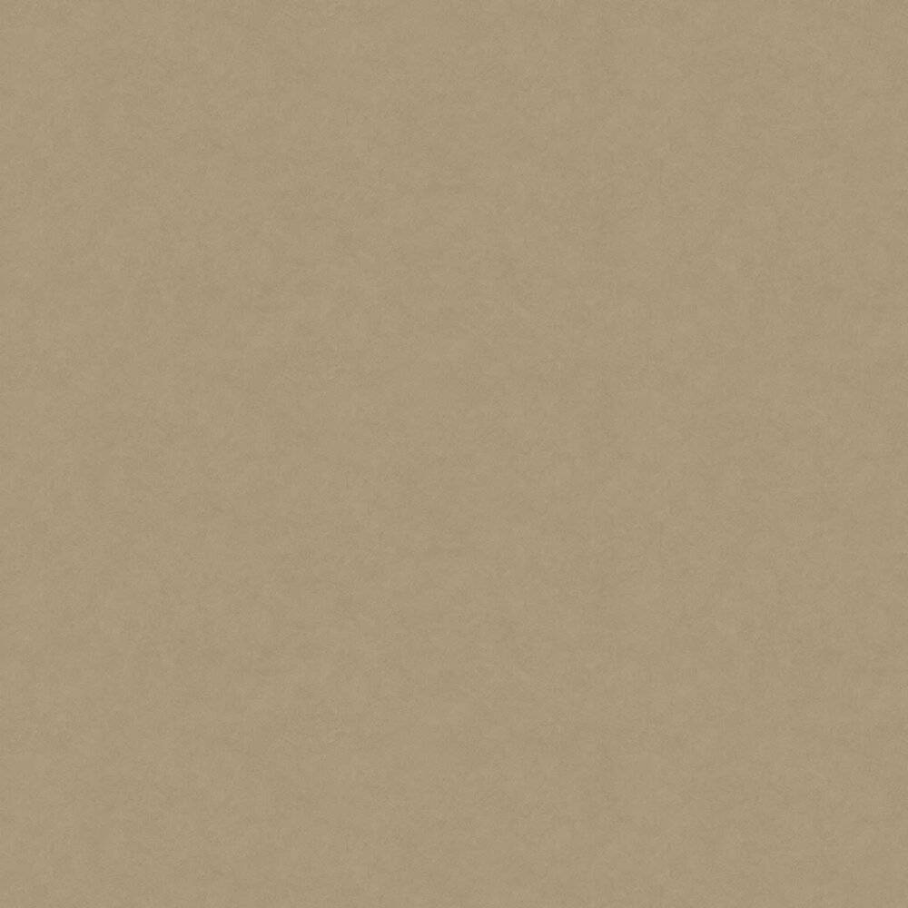 Plain Beige 1000 X 1000 Background