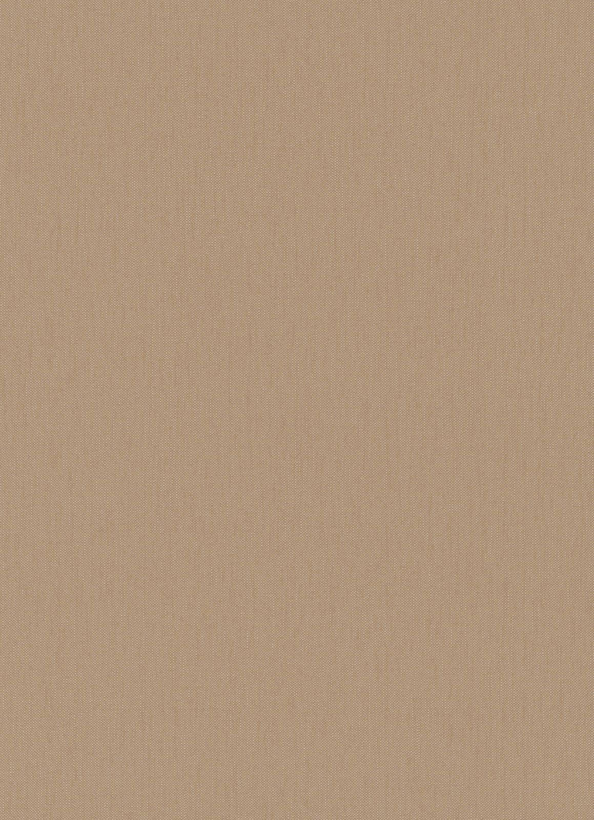 Plain Beige 1159 X 1600