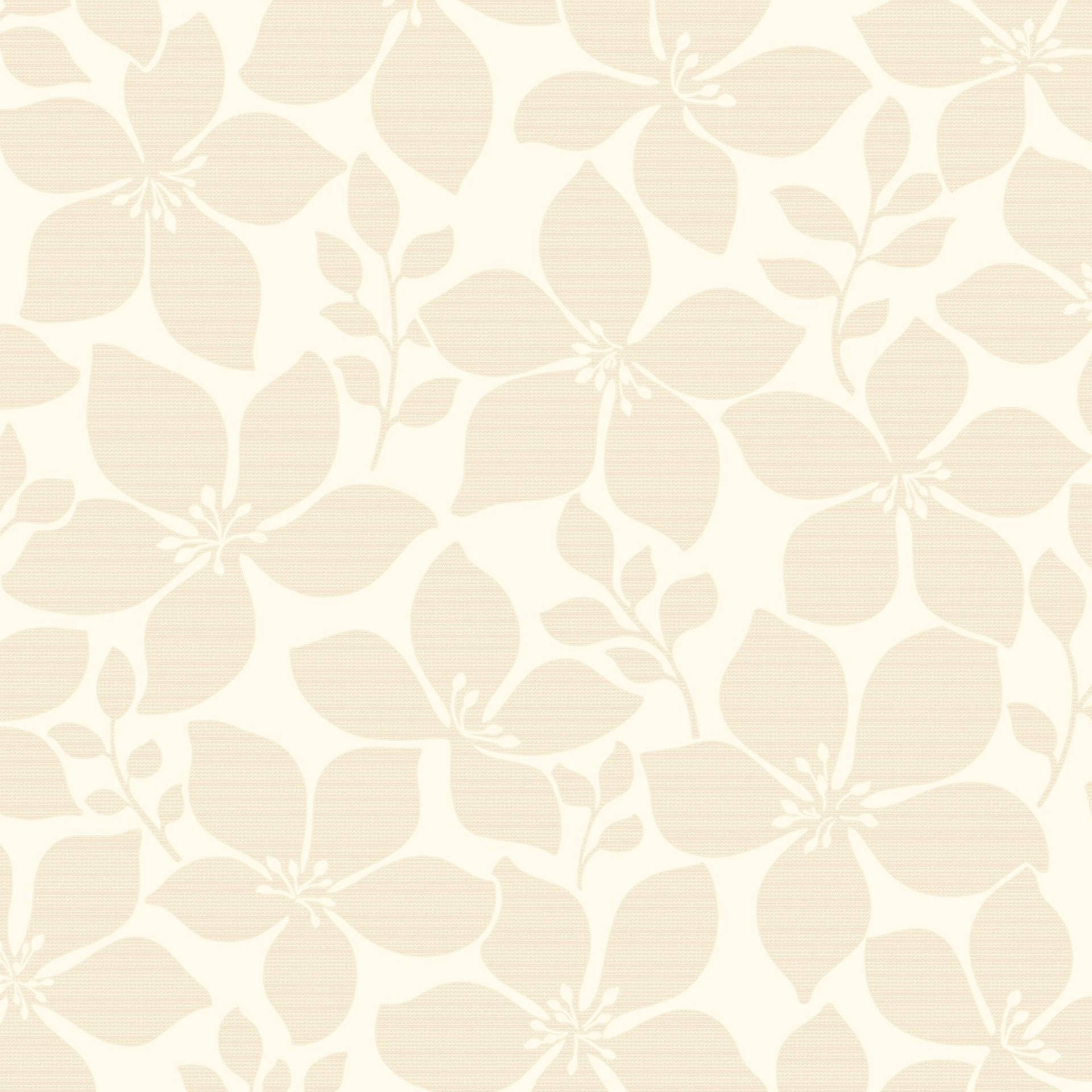 Plain Beige 2000 X 2000