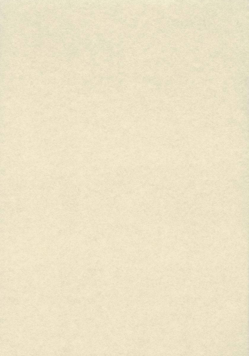 Plain Beige 840 X 1200 Background