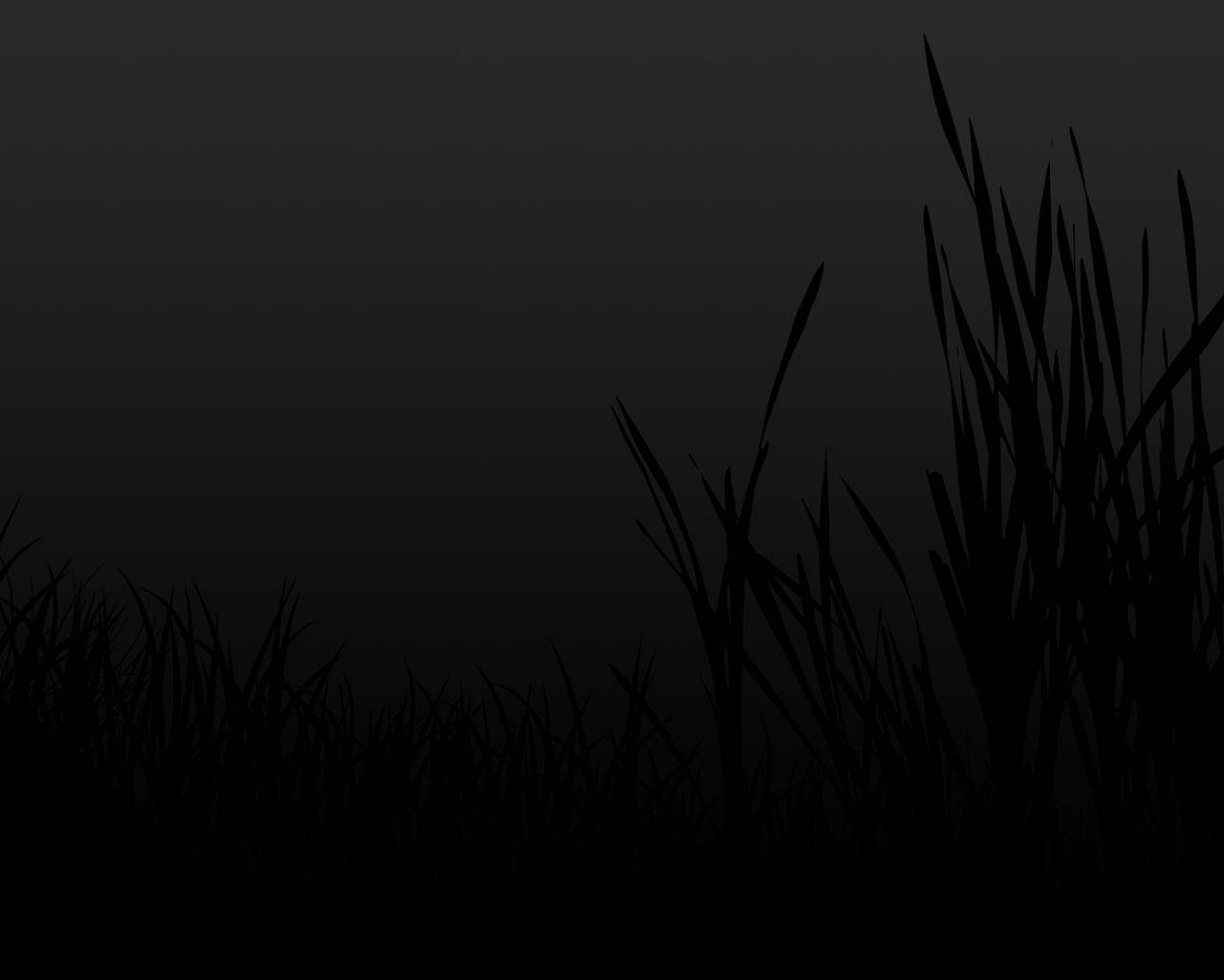 Plain Black Grass Pattern Background