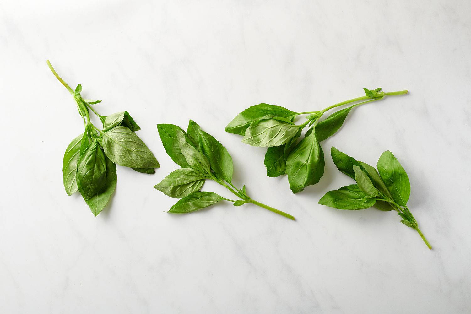 Plain Dried Basil Herbs Top View Background