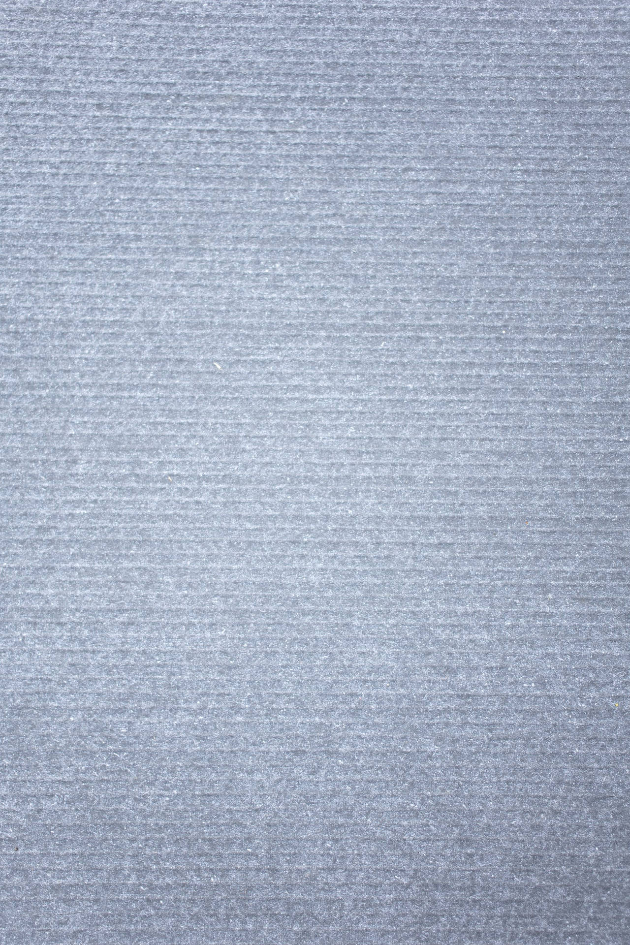 Plain Grey Linear Pattern Portrait Background