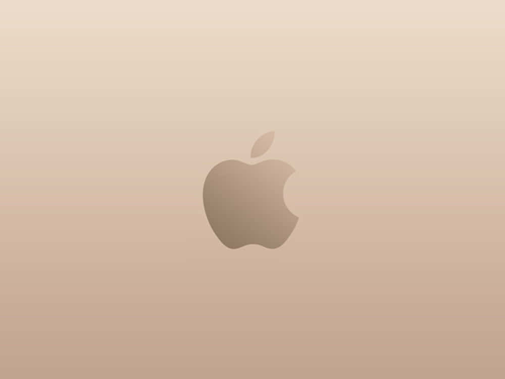 Plain Rose Gold Apple Background
