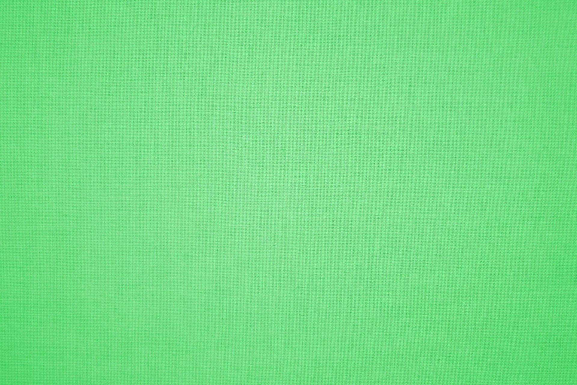 Plain Textured Light Green