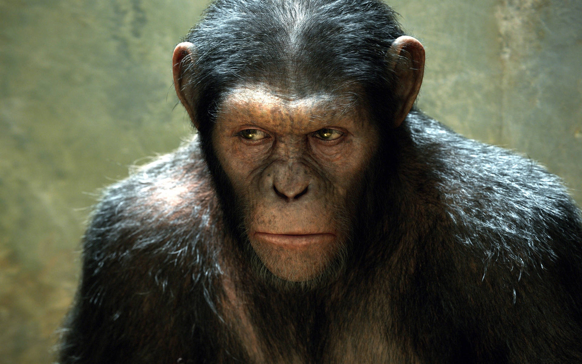 Planet Of The Apes Caesar Protagonist Background