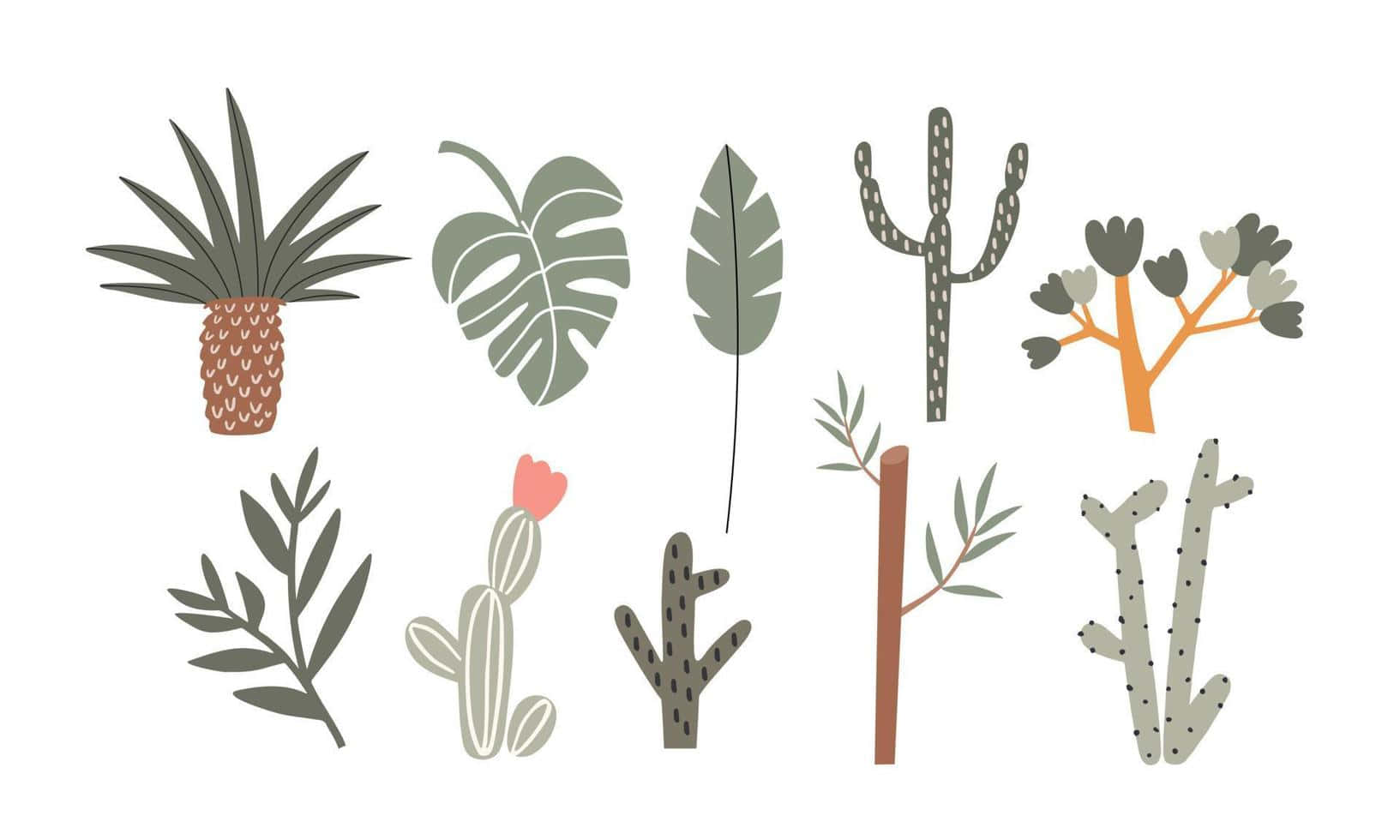 Plant Aesthetic Laptop For Instant Retro Style Background