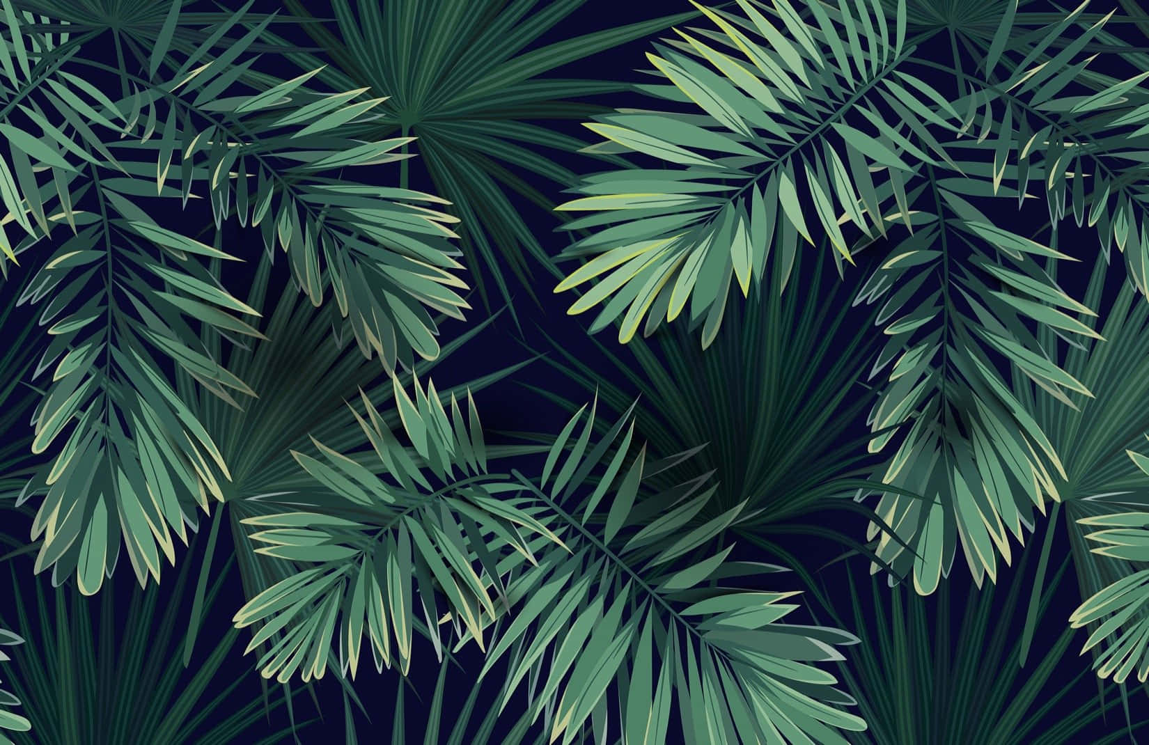 Plant Aesthetic Laptop [wallpaper] Background