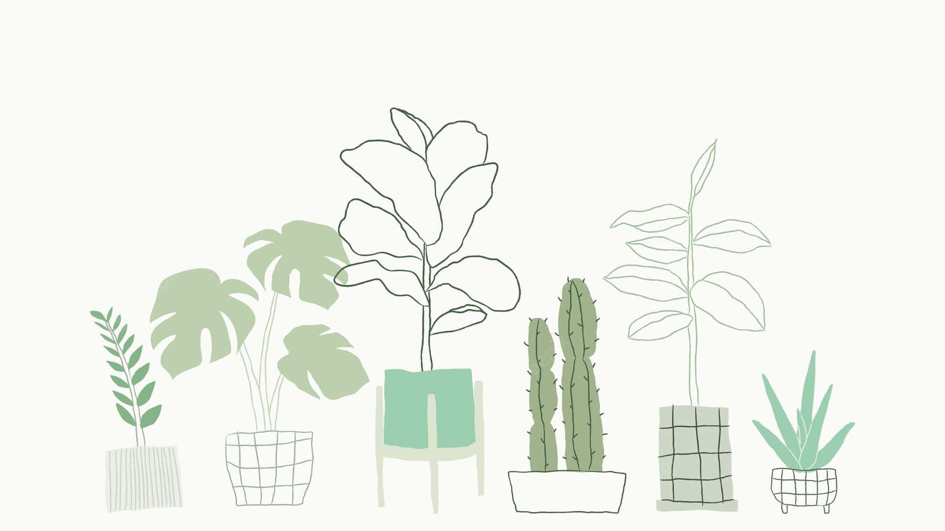 Plant Aesthetic Laptop [wallpaper] Background