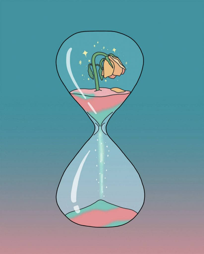 Plant Life In An Hourglass