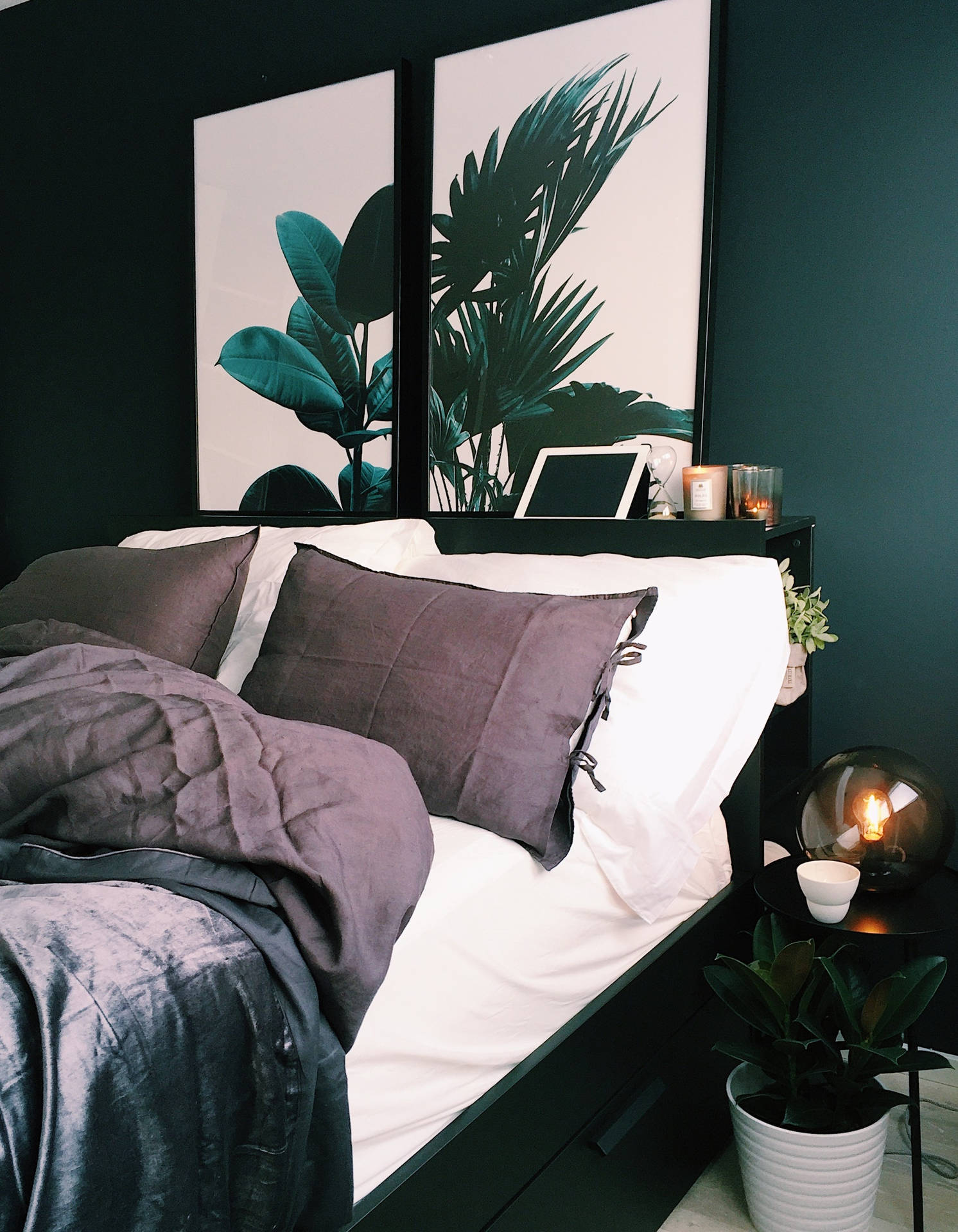 Plant Lover Bedroom Background