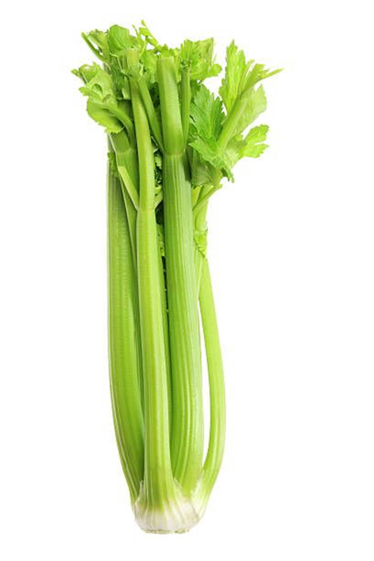 Plant Vegetable Display Celery Background