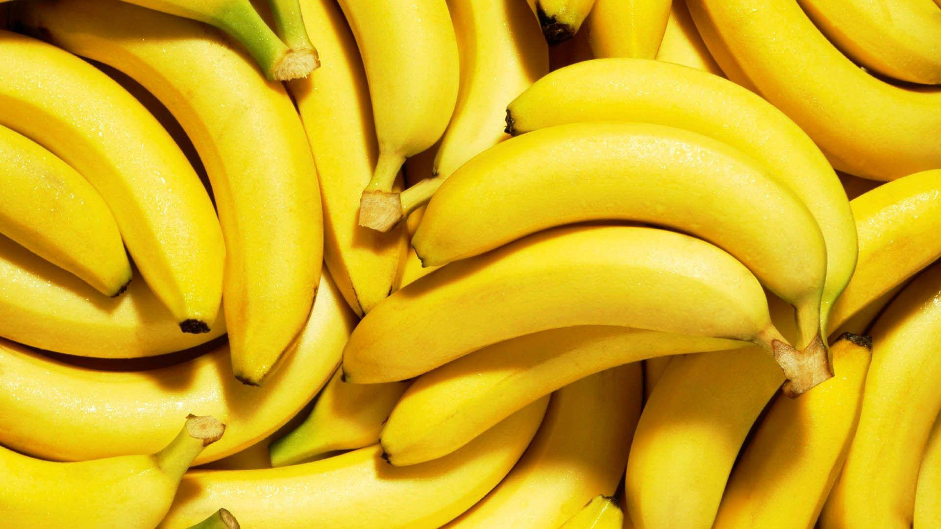 Plantain Bright Photography Background