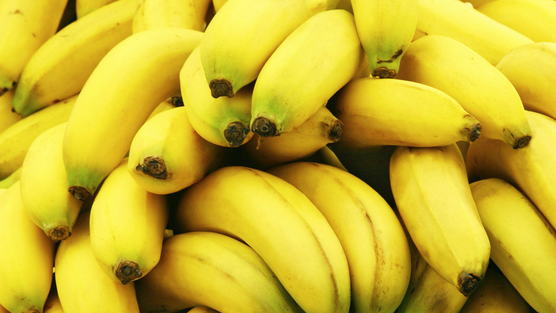 Plantain Desktop Cover Background