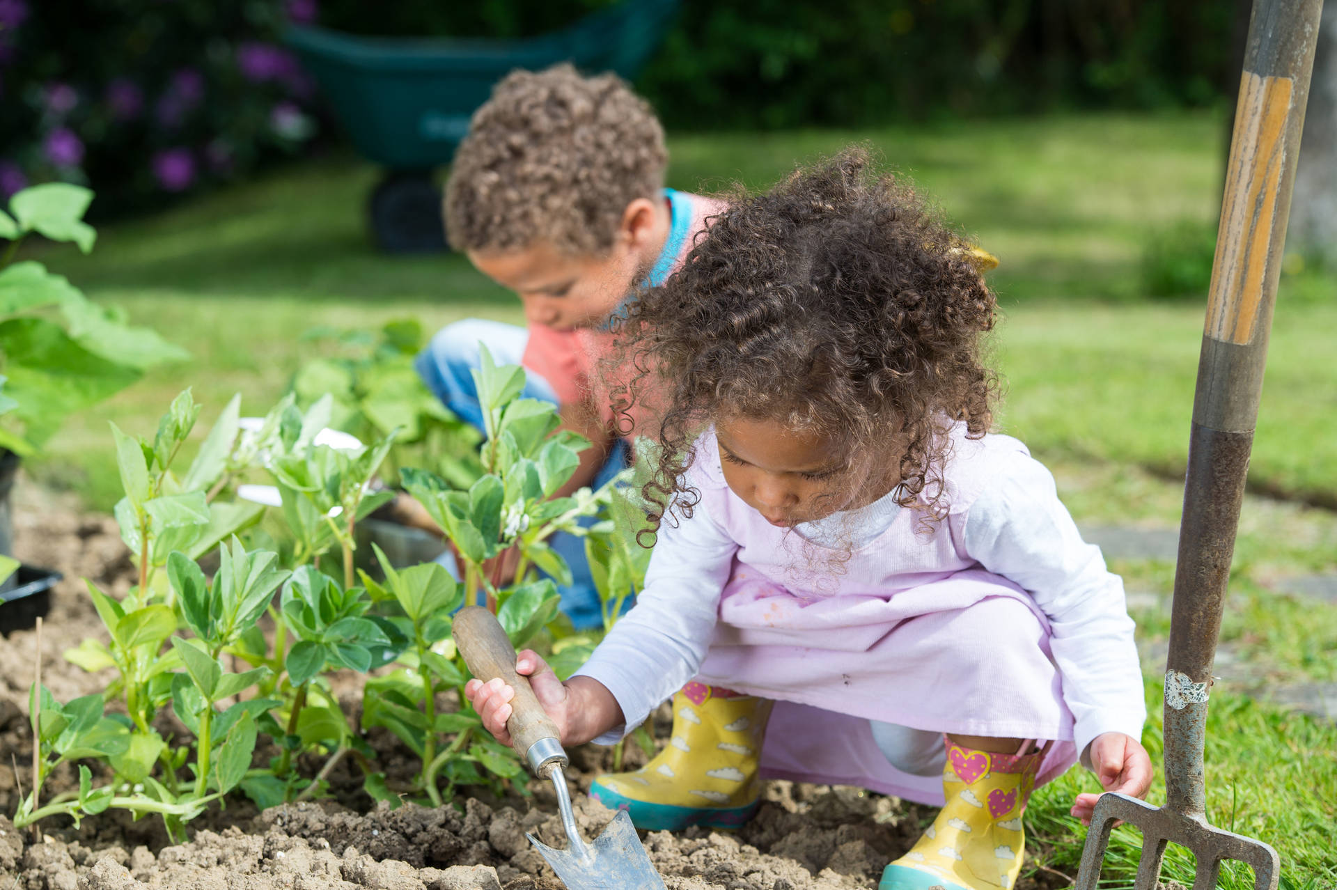 Planting Kids With Gardening Tools Background
