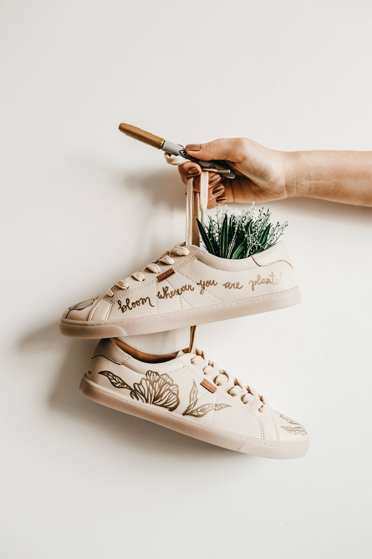 Plants In Shoes Background