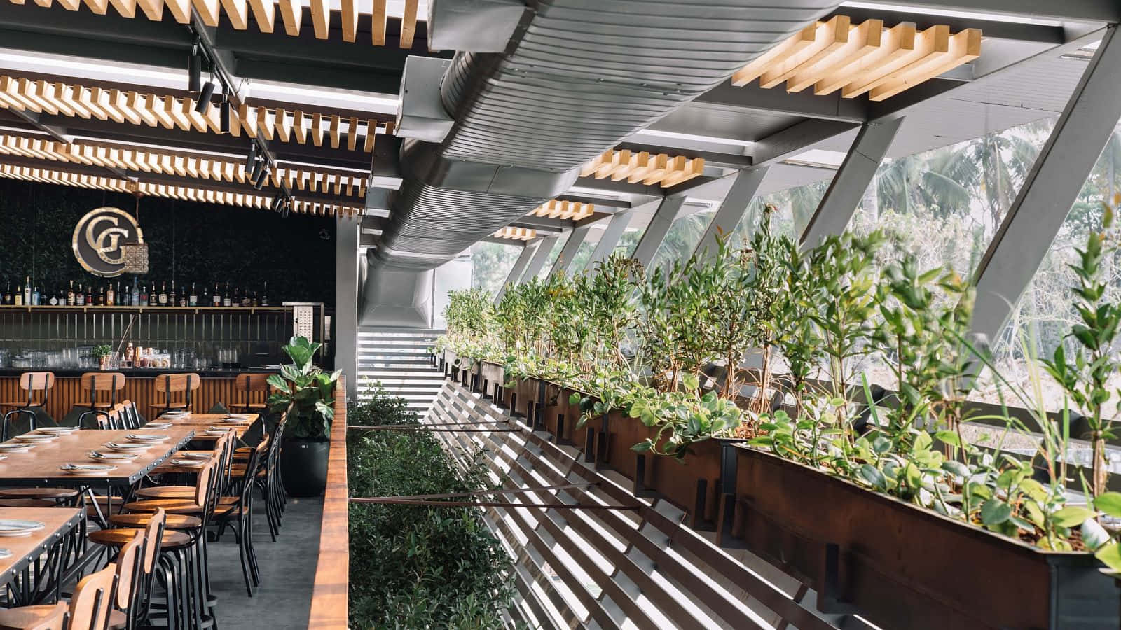 Plants Inside Gawky Goose Bar