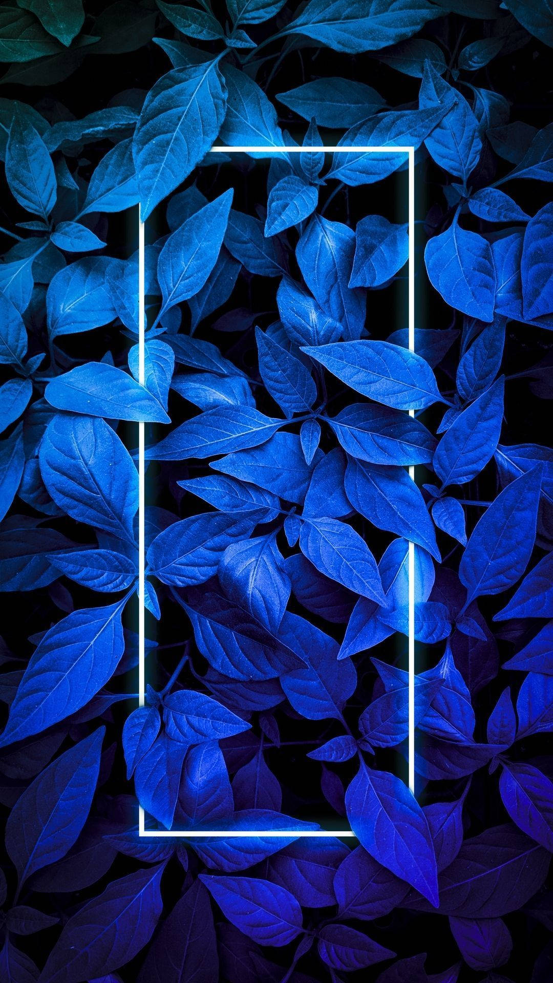 Plants Neon Blue Iphone Background