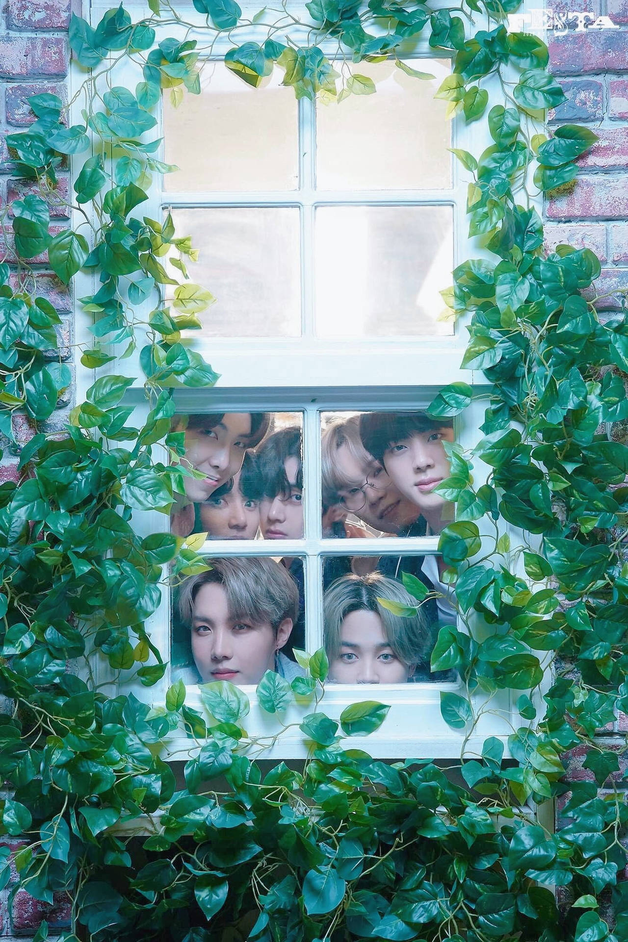 Plants On Window Lockscreen Bts Background