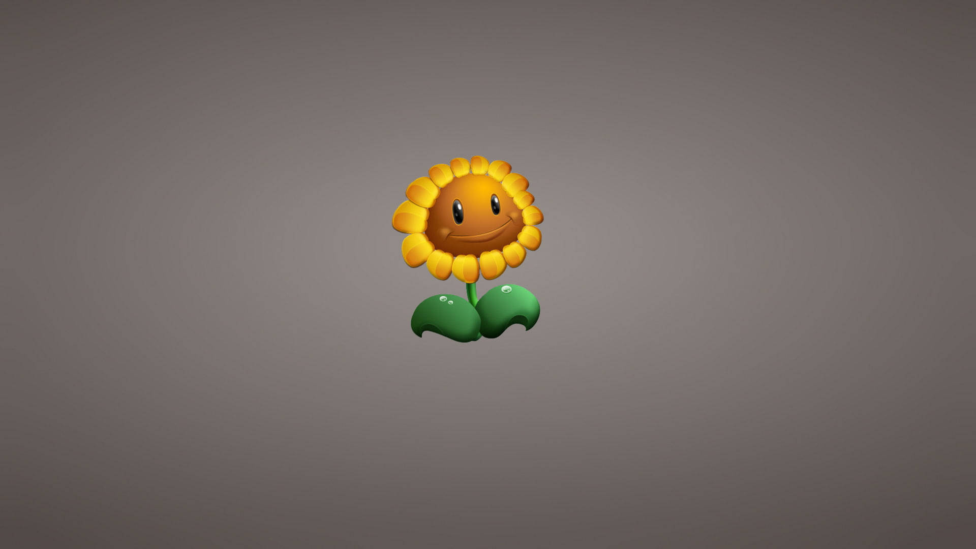 Plants Vs. Zombies Sunflower Laptop Background