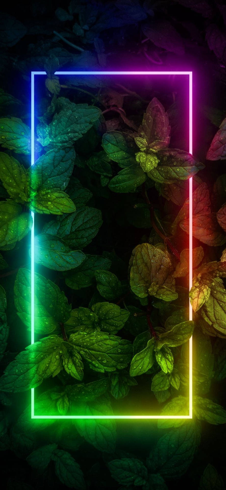 Plants With Border Neon Aesthetic Iphone Background