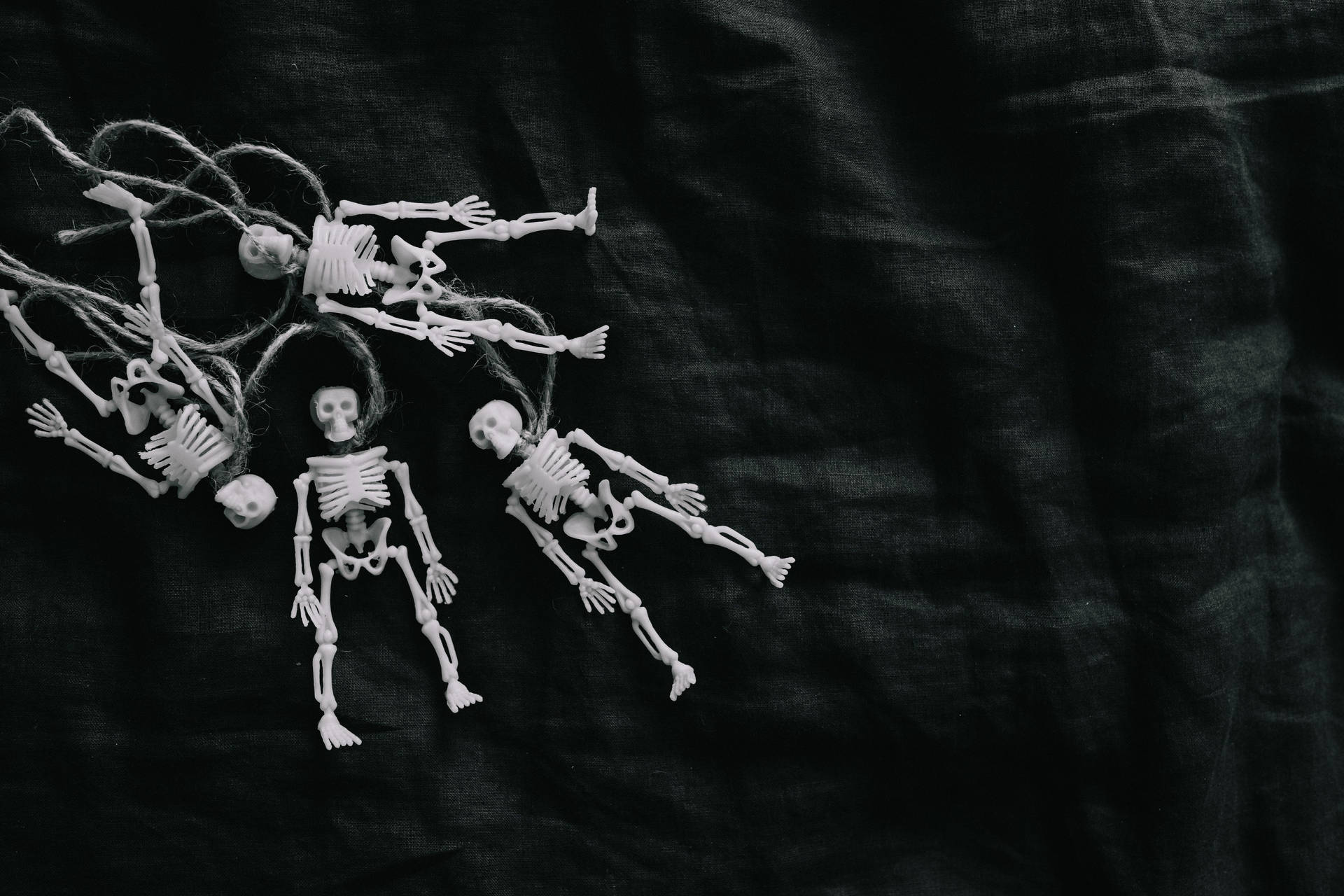 Plastic Figures Skeleton Desktop Background