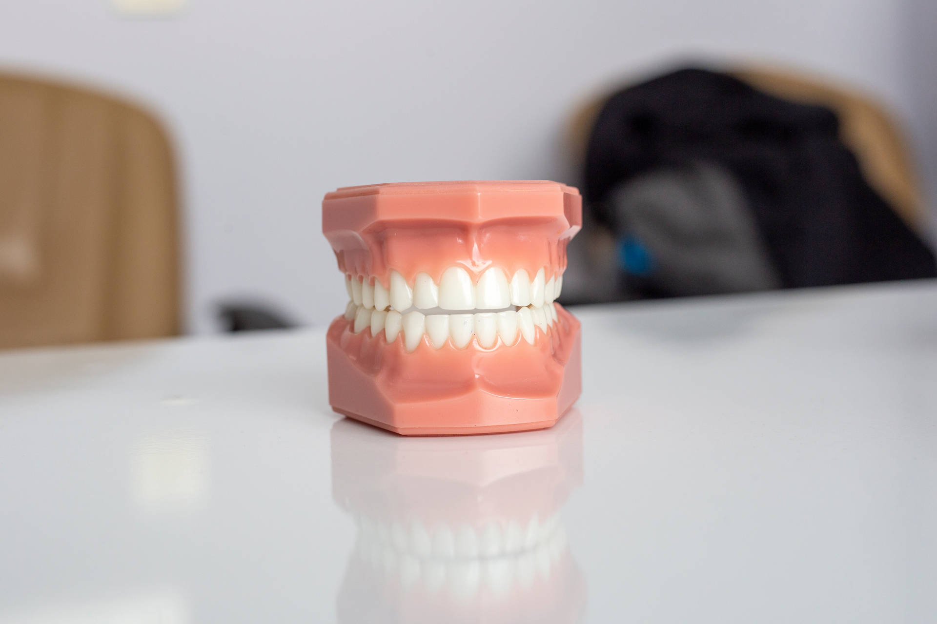 Plastic Model Of Teeth Dentistry Background