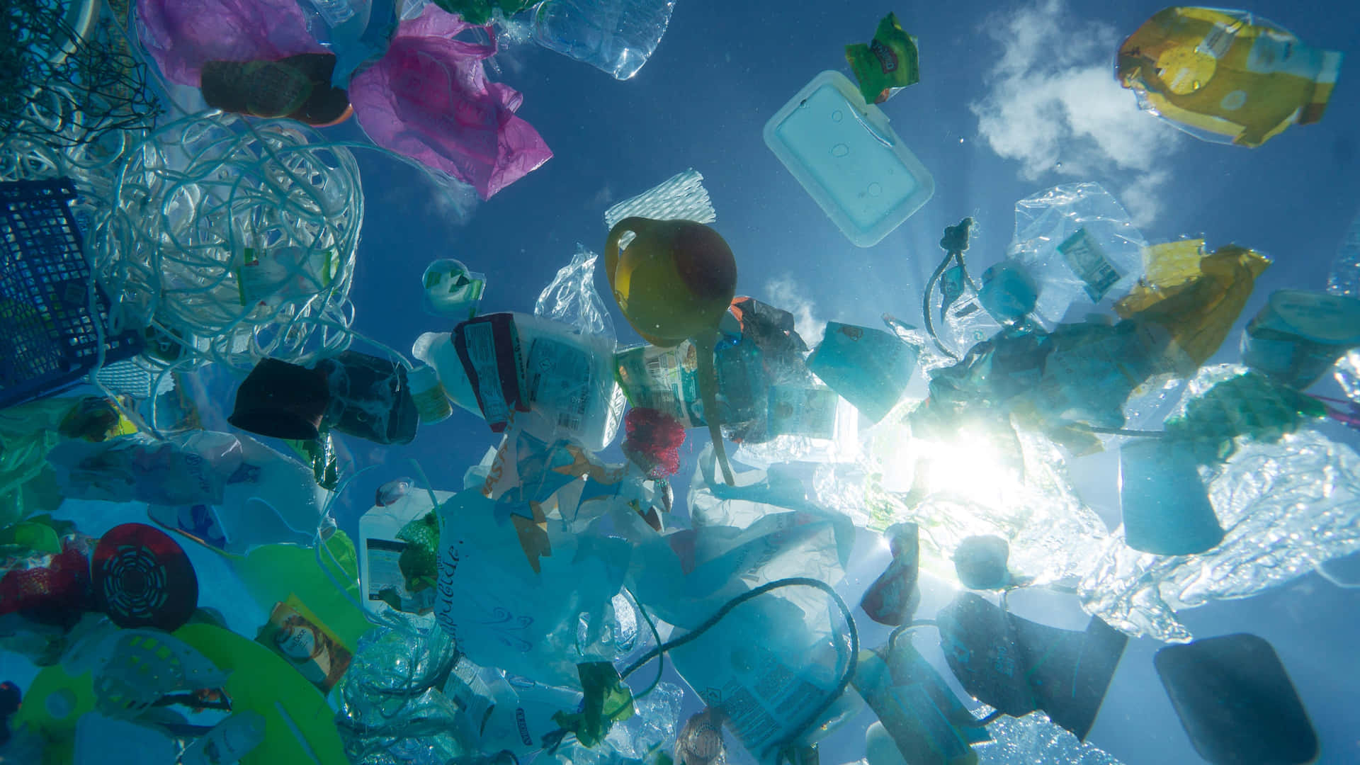 Plastic Wastes In The Ocean