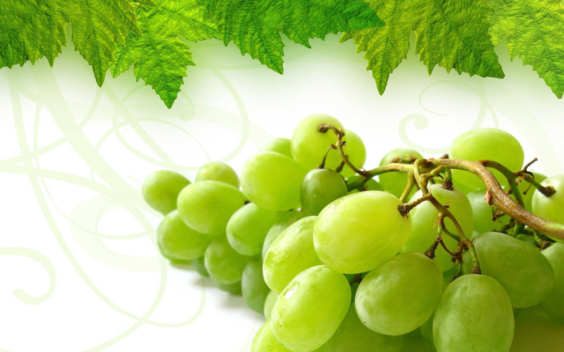 Plate Of Ripe Dominga Grapes Background