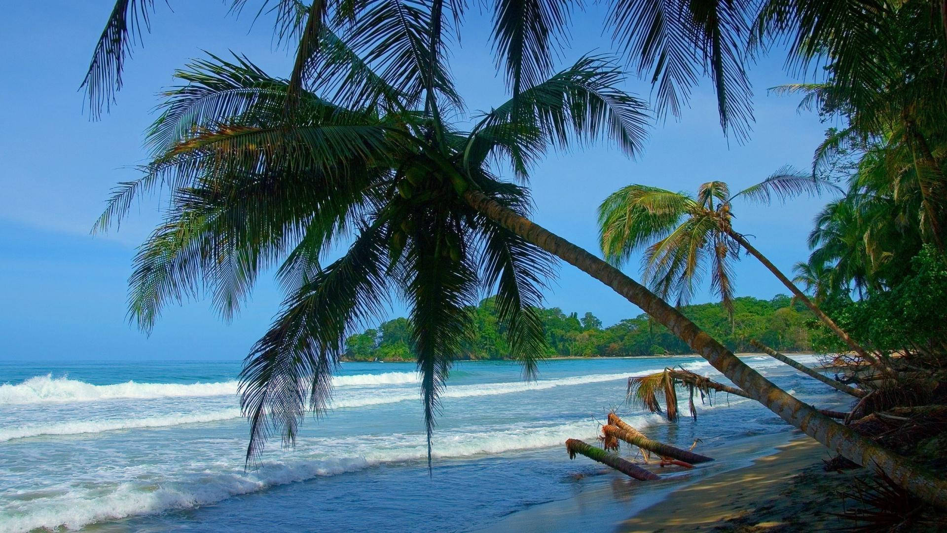 Playa Negra Costa Rica