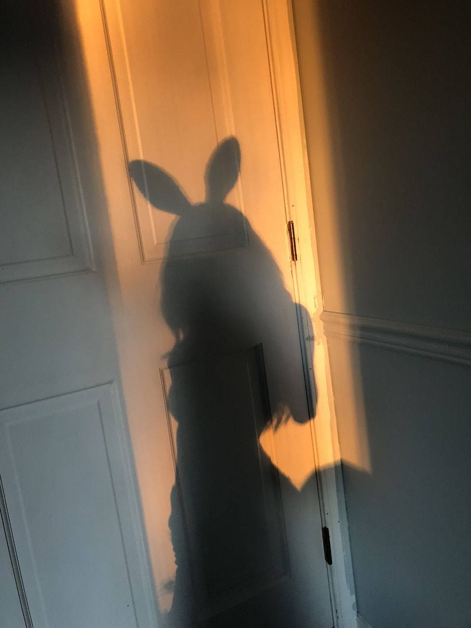 Playboy Aesthetic Shadow Costume Background