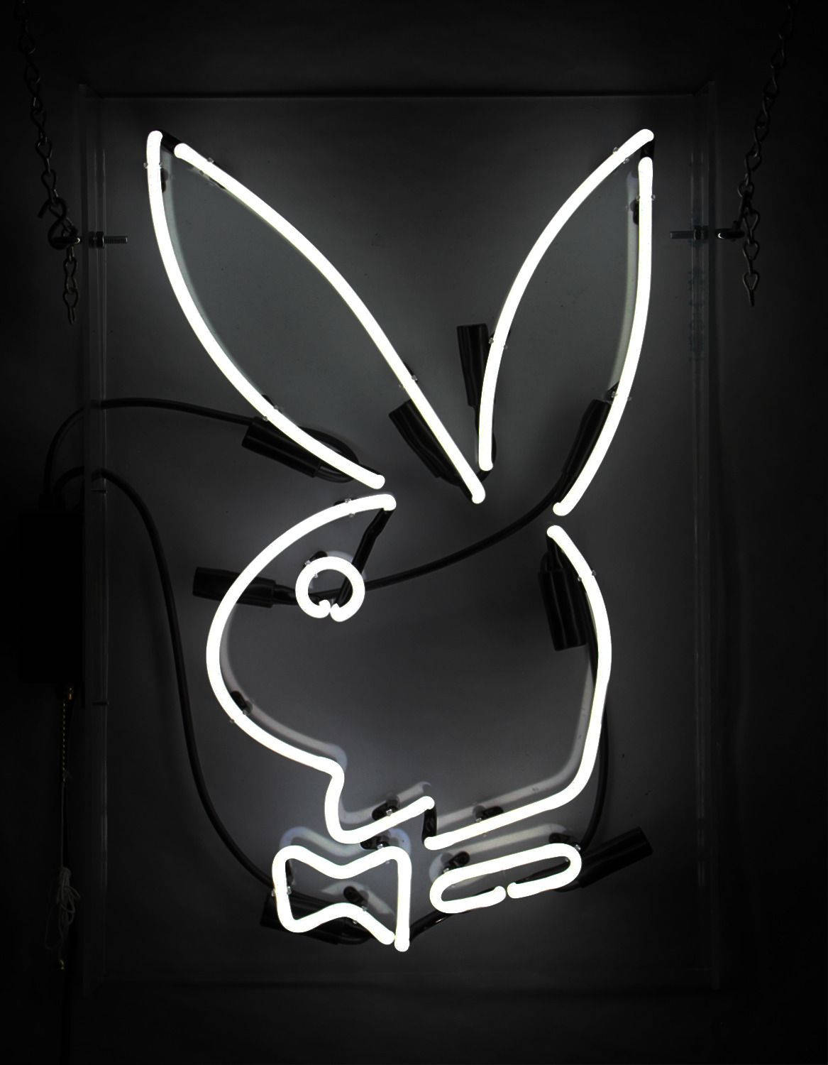 Playboy Logo Neon Light Background