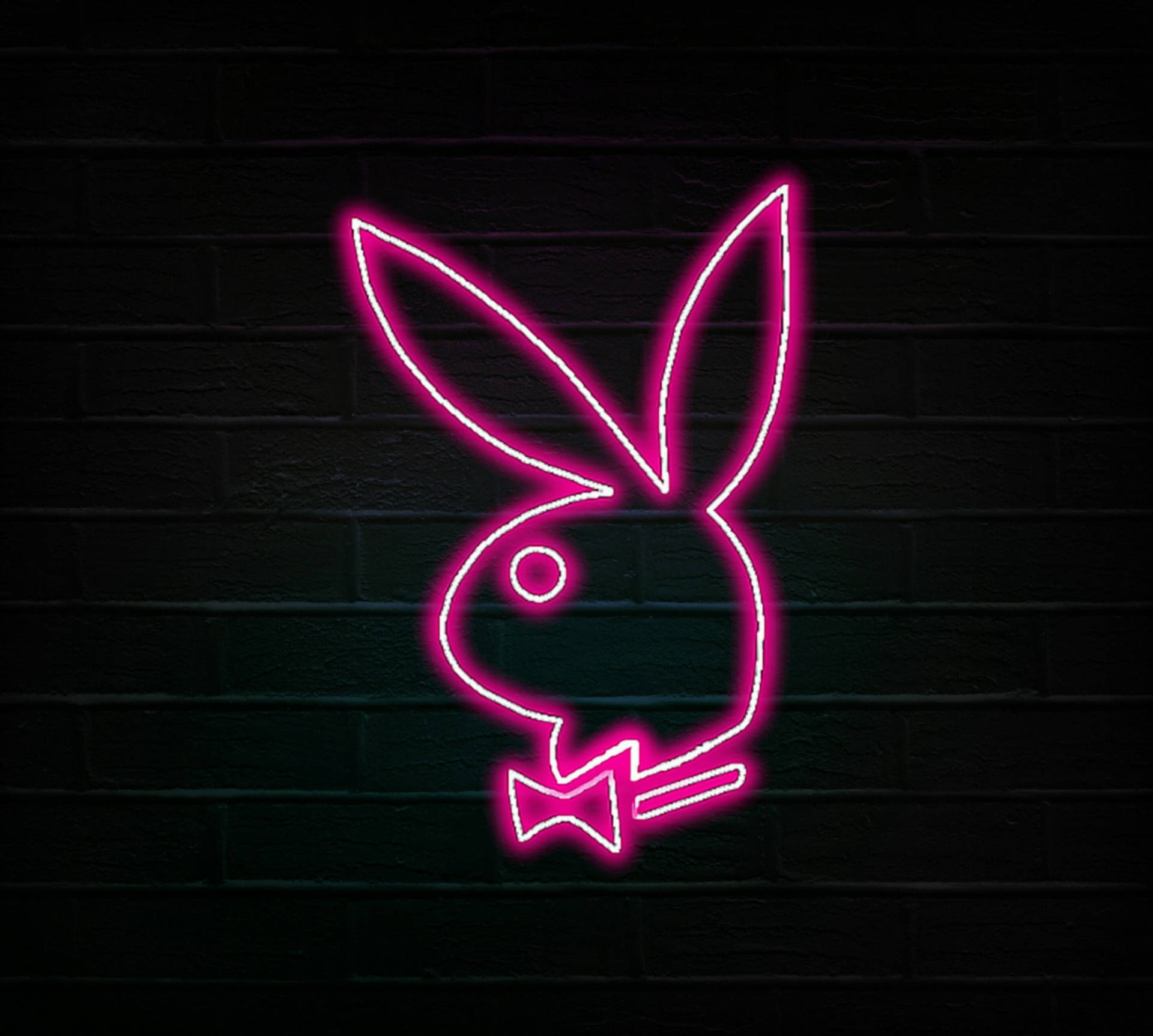 Playboy Logo Pink Neon Sign Background