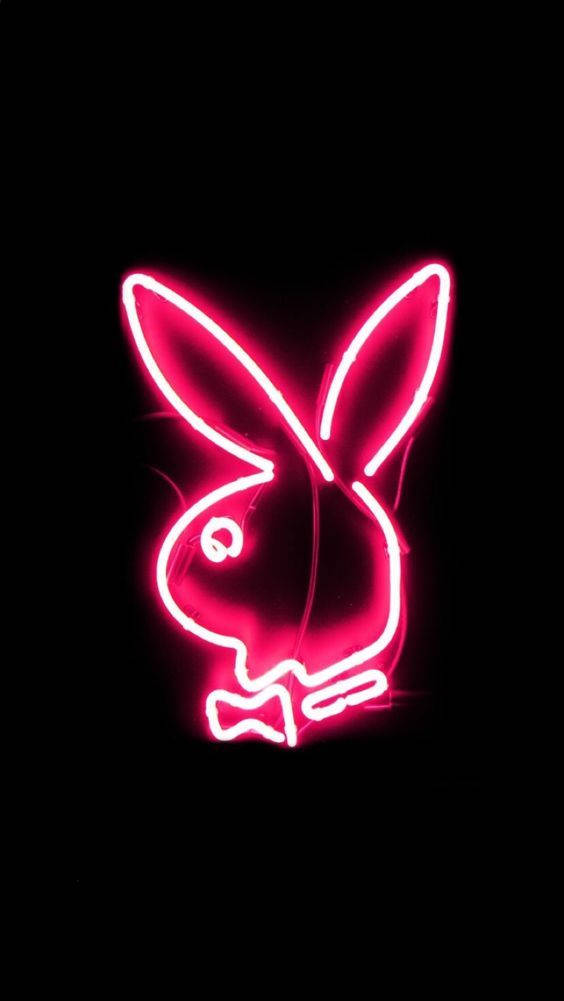 Playboy Neon Pink Light Background