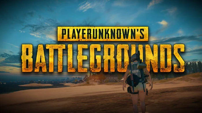 Player By Beach Pubg Banner Background