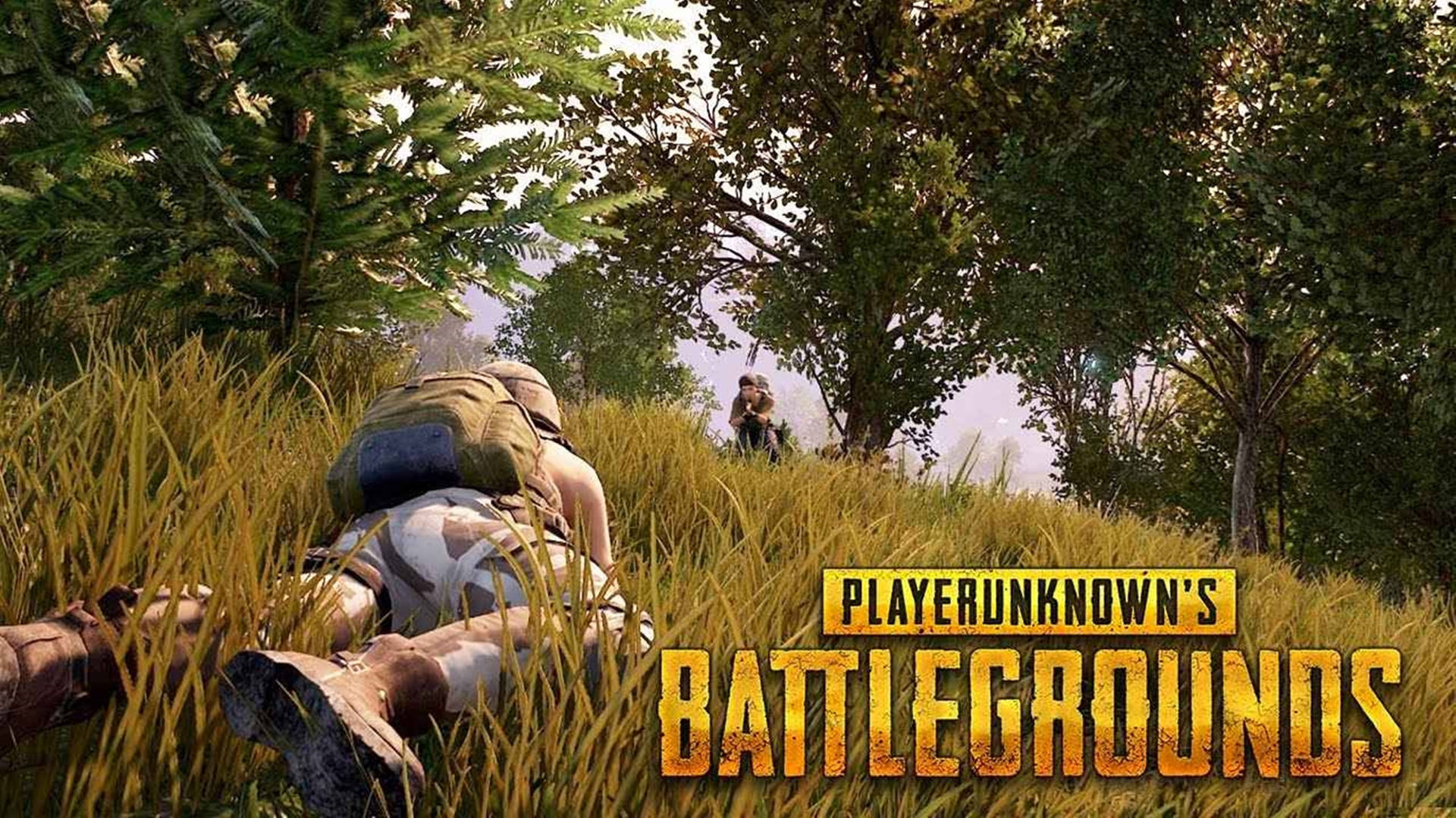 Player Hiding In The Grass In Battleground Hd Background