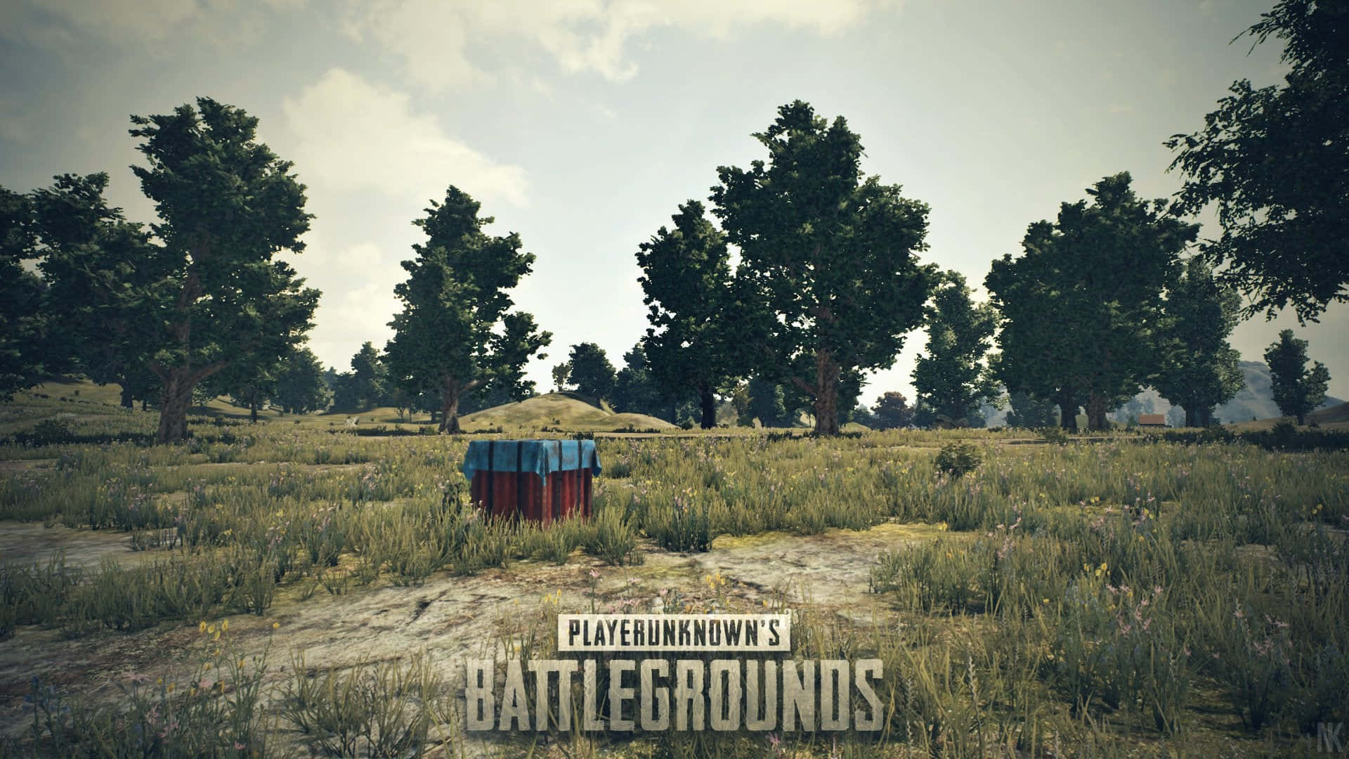 Playerunknowns Battleground Logo Background