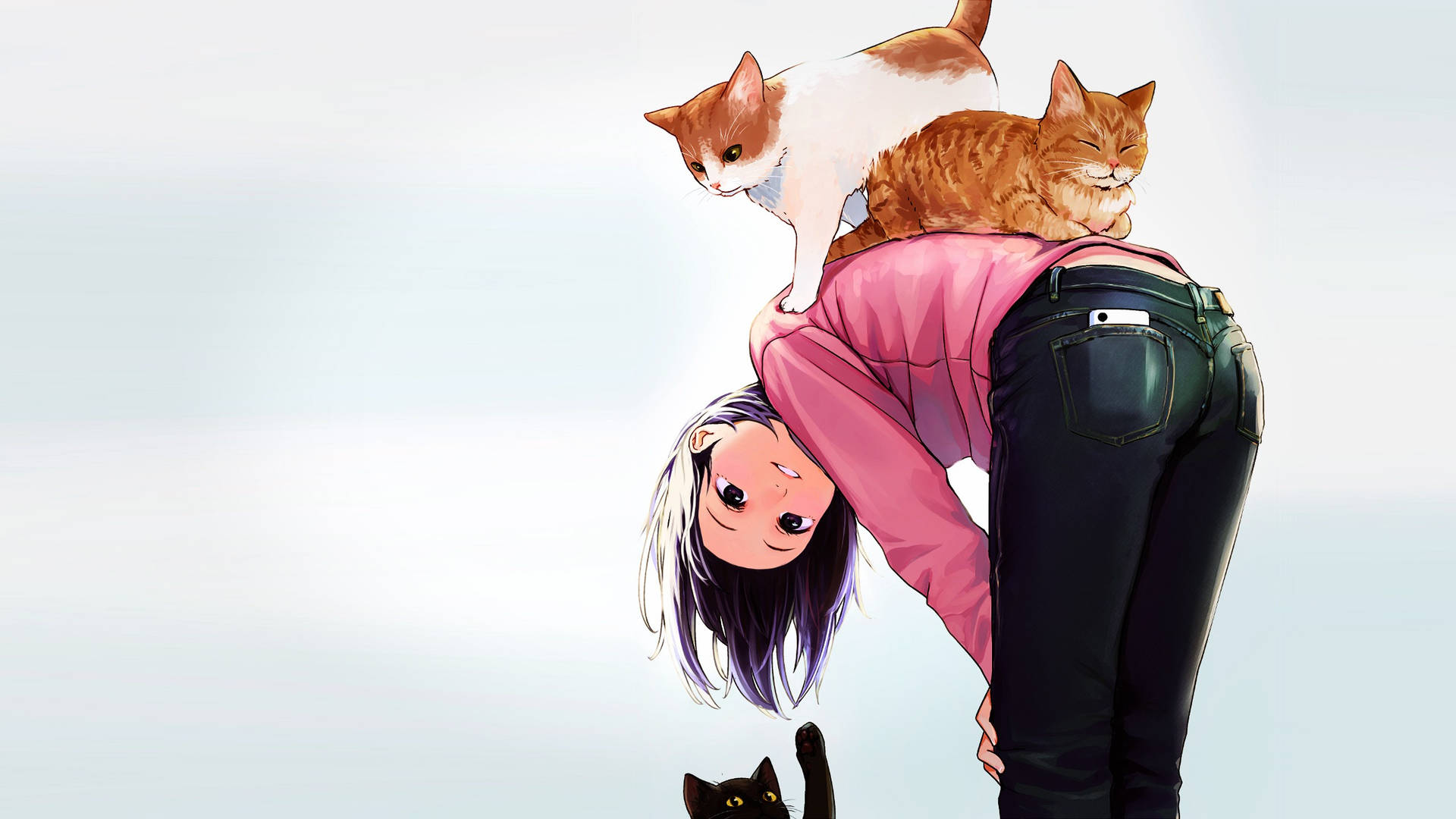 Playful Anime Cats And Owner Background