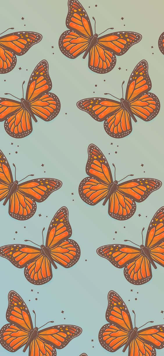 Playful Colorful Butterfly Background