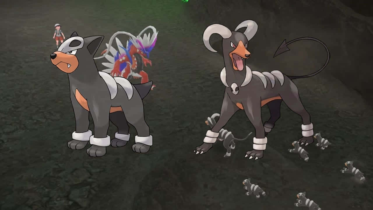 Playful Houndour - Spotlight From Pokemon Scarlet Background