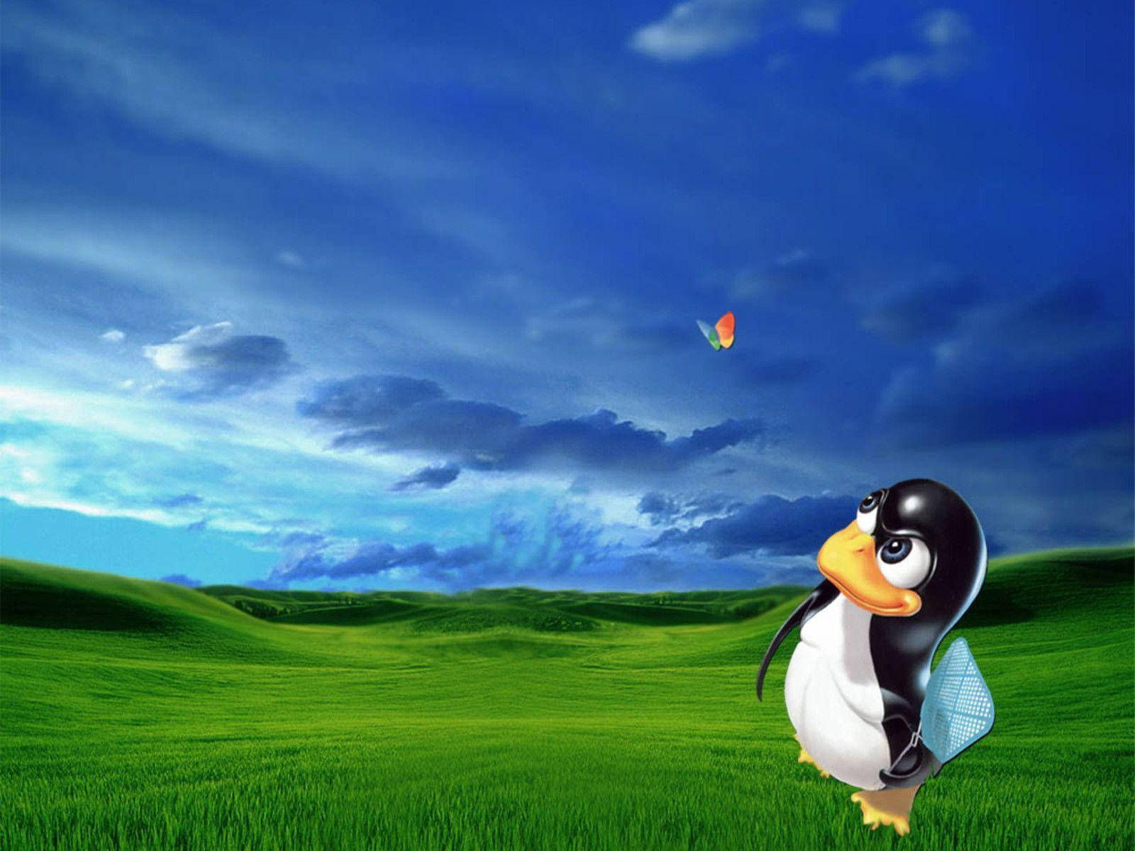 Playful Tux Linux Desktop Graphic Layout