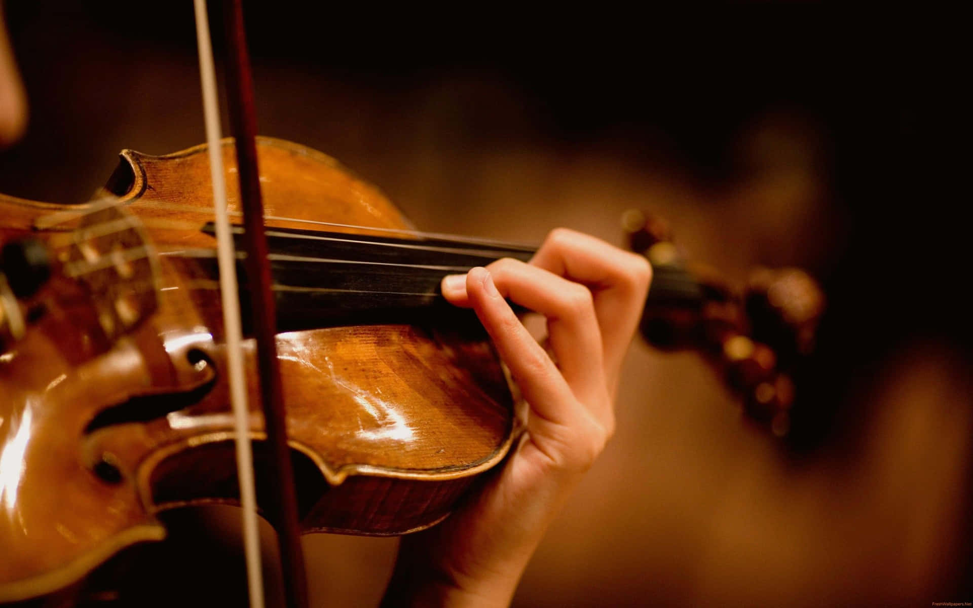 Playing Wooden Chordophone Violin Instrument