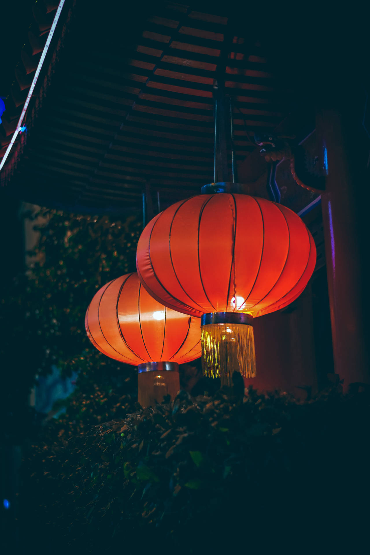 Plump Chinese Lanterns Background