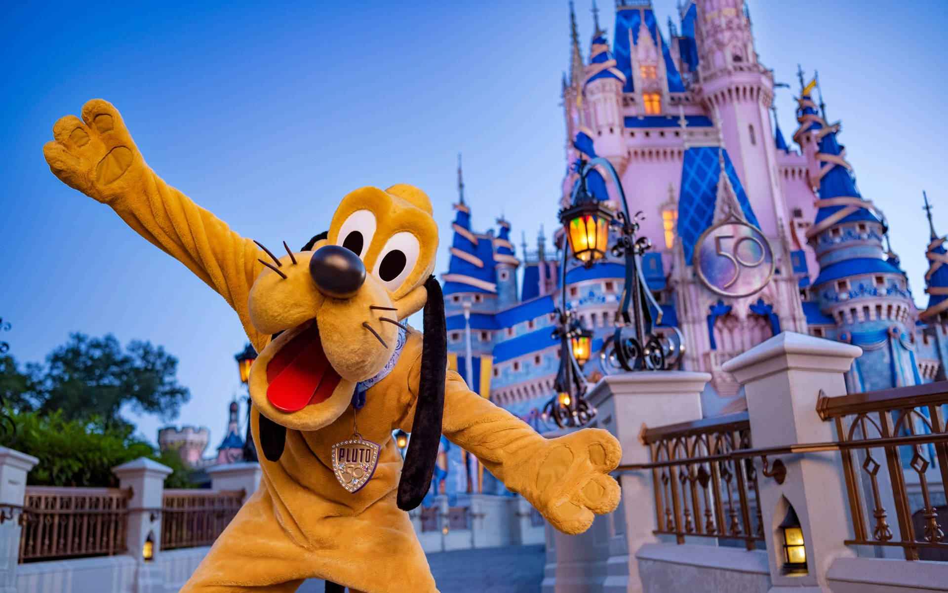 Pluto Disneyworld