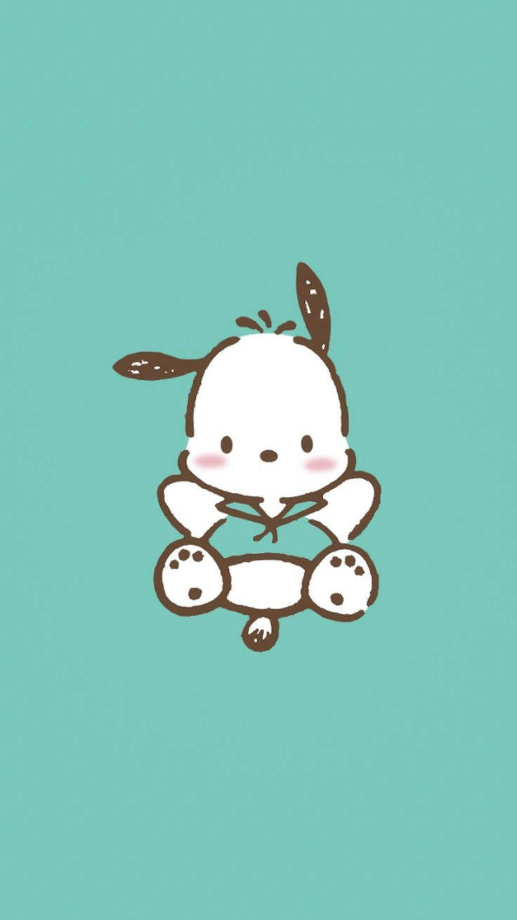 Pochacco In Turquoise Shirt Background