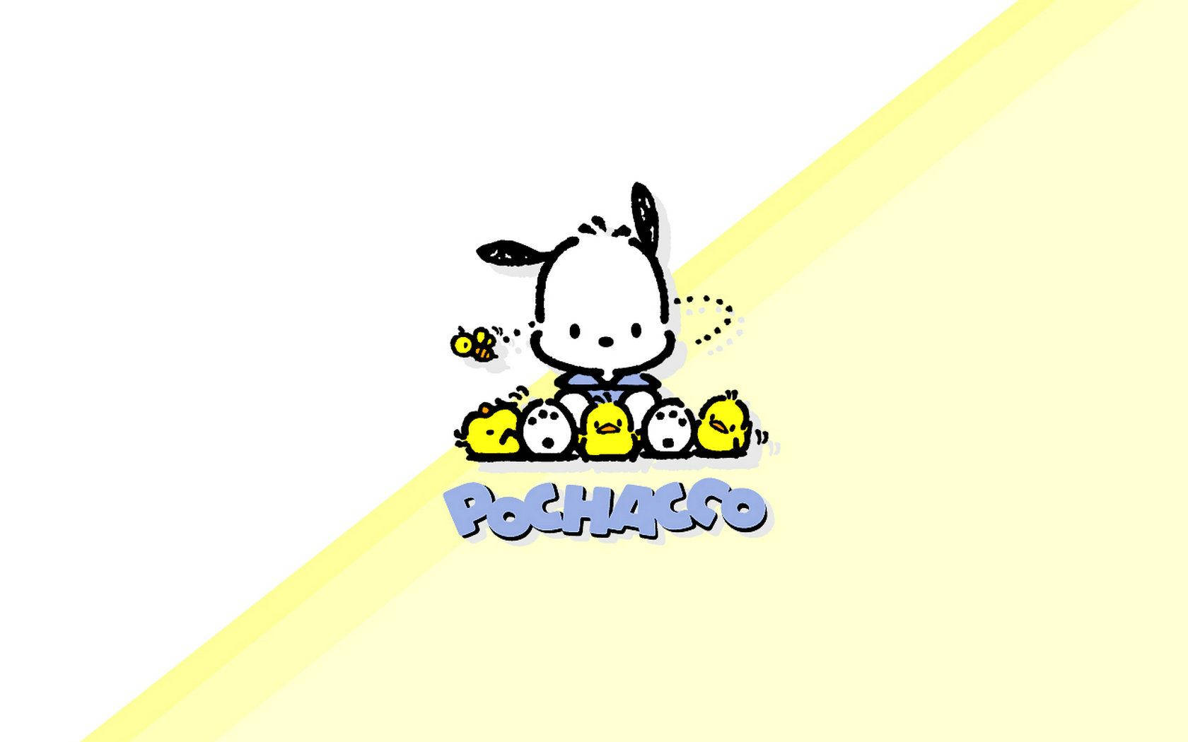 Pochacco In Two-toned Poster Background